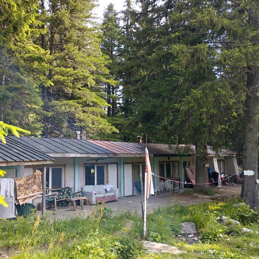 Хижа Ловна В Рила Panichishte Exterior foto
