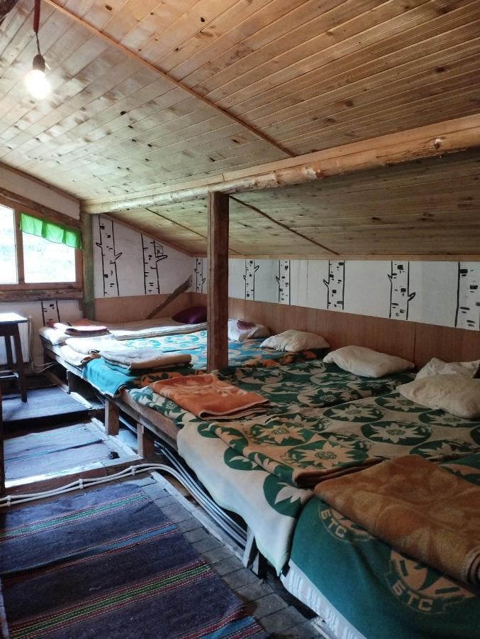 Хижа Ловна В Рила Panichishte Exterior foto
